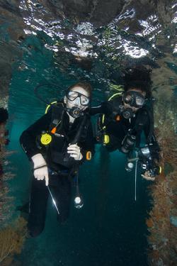 raja ampat, diving, pulau pef, pef island, indonesia, scuba, diver, coral reef