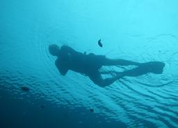 Snorkeling, guest comments, raja ampat, indonesia