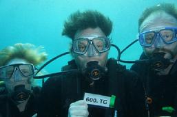 Guest Image, diving raja ampat, west papua, indonesia