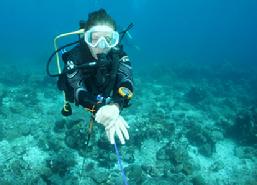 Raja 4 Divers, guest comments, Raja Ampat, diving, resort