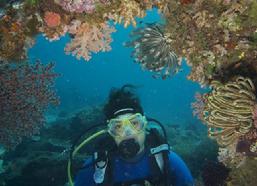 corales in raja ampat, diving with raja4divers