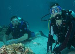 biodiversity raja ampat, diving hotspot, dive raja ampat, guest comments