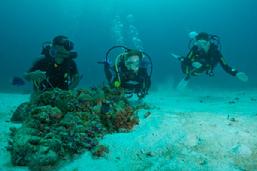 tauchen raja ampat, gästebuch, märz 2012