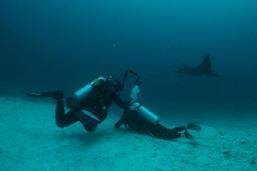 raja ampat dive site, guest comments, march 2012