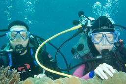 dive raja ampat, dive resort indonesia
