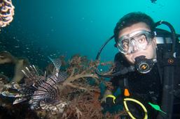dive sites raja ampat, dive sites indonesia, best diving indonesia