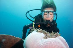 raja ampat diving, dive raja ampat, biodiversity indonesia