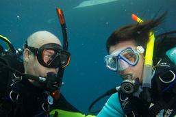 diving raja ampat, guest comments 2012