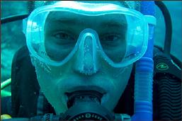 raja ampat diving, raja ampat scuba, dive raja ampat, guest comments 2012