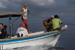 dive boat raja ampat, diving boat raja ampat, guest comments 2012