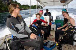 Dive the raja ampat, dive resort raja ampat, resort raja ampat, diveholiday indonesia