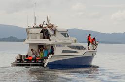 Dive the raja ampat, raja ampat diveresort, diveresort west papua, dive resort dampier strait, boatride raja ampat,