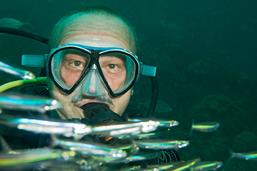 Dive the raja ampat, dive resort raja ampat, resort raja ampat, diveholiday indonesia