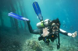 Dive the raja ampat, dive resort raja ampat, resort raja ampat, diveholiday indonesia
