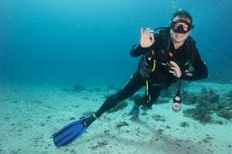 Dive the raja ampat, dive resort raja ampat, resort raja ampat, diveholiday indonesia