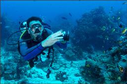 raja ampat, diving, pulau pef, pef island, indonesia, scuba, diver, coral reef