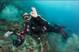 Raja ampat resort, dive resort raja ampat, the heart of the coral triangel, raja ampat reefs, coral reef raja ampat, west papua, diving, snorkelling raja ampat, snorkeling raja ampat, schnorcheln Raja ampat