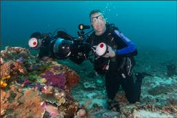 Raja ampat resort, dive resort raja ampat, the heart of the coral triangel, raja ampat reefs, coral reef raja ampat, west papua, diving, snorkelling raja ampat, snorkeling raja ampat, schnorcheln Raja ampat