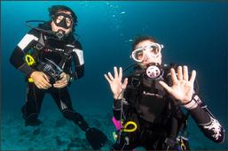 Raja ampat resort, dive resort raja ampat, the heart of the coral triangel, raja ampat reefs, coral reef raja ampat, west papua, diving, snorkelling raja ampat, snorkeling raja ampat, schnorcheln Raja ampat