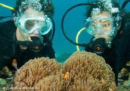 pulau pef, pef island, pef, raja4divers, raja ampat divers, raja ampat, R4, richest reefs, pef island, the raja ampat, scuba diving, indonesia