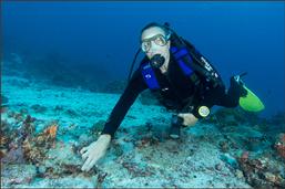 raja ampat, diving, scuba, coral reef, indonesia, papua, scuba dive, BCD, pulau pef, pef island, underwater, PADI, sunset, lounge, party