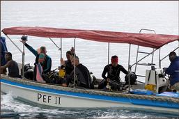 raja ampat, diving, scuba, pef island, pulau pef
