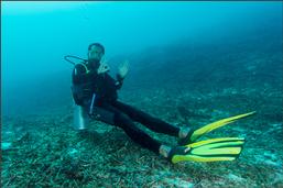 Raja ampat resort, dive resort raja ampat, the heart of the coral triangel, raja ampat reefs, coral reef raja ampat, west papua, diving, snorkelling raja ampat, snorkeling raja ampat, schnorcheln Raja ampat