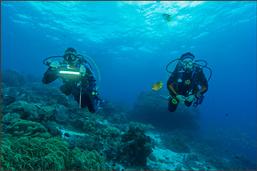 raja ampat, diving, scuba, coral reef, indonesia, papua, scuba dive, BCD, pulau pef, pef island, underwater, PADI, sunset, lounge, party