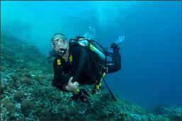 raja ampat, diving, scuba, coral reef, indonesia, papua, scuba dive, BCD, pulau pef, pef island, underwater, PADI, sunset, lounge, party