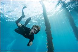 raja ampat, diving, pulau pef, pef island, indonesia, scuba, diver, coral reef