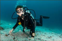 raja ampat, diving, pulau pef, pef island, indonesia, scuba, diver, coral reef