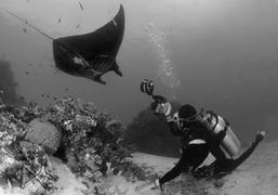 pulau pef, pef island, pef, raja4divers, raja ampat divers, raja ampat, R4, richest reefs, pef island, the raja ampat, scuba diving, indonesia