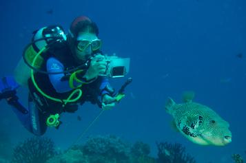 Dive resort raja ampat, diving raja ampat, hotel raja ampat