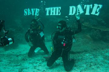 Dive the raja ampat, dive resort raja ampat, resort raja ampat, diveholiday indonesia, house reef, pigmy seahorse raja ampat