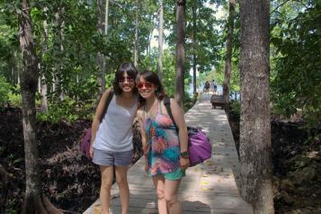 Dive resort raja ampat, diving raja ampat, hotel raja ampat