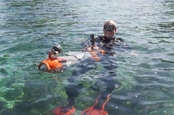 Dive the raja ampat, dive resort raja ampat, resort raja ampat, diveholiday indonesia