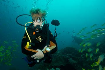 raja ampat diving, marine park raja ampat, marine park tag raja ampat 2014, dive raja ampat, raja ampat holidays, dive resort, dive resort raja ampat
