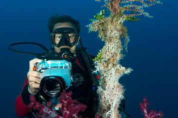 raja ampat resort, diving raja ampat, raja ampat diving, dive indonesia, dive raja ampat, dive west papua, coral triangle, diving indonesia