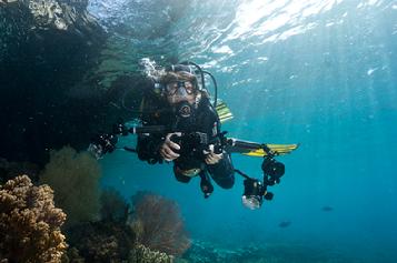 raja ampat resort, diving raja ampat, raja ampat diving, dive indonesia, dive raja ampat, dive west papua, coral triangle, diving indonesia