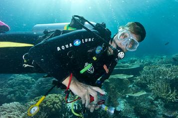 raja ampat, diving, pulau pef, pef island, indonesia, scuba, diver, coral reef