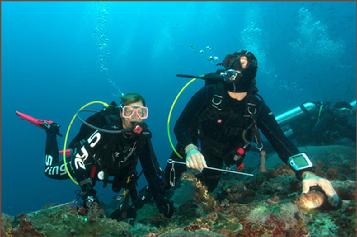 raja ampat, diving, scuba, coral reef, indonesia, papua, scuba dive, BCD, pulau pef, pef island, underwater, PADI, sunset, lounge, party
