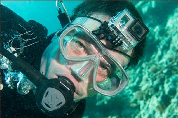 Raja ampat resort, dive resort raja ampat, the heart of the coral triangel, raja ampat reefs, coral reef raja ampat, west papua, diving, snorkelling raja ampat, snorkeling raja ampat, schnorcheln Raja ampat